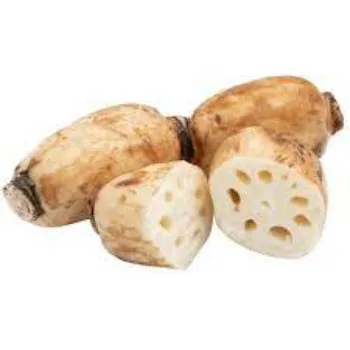 Natural Lotus Root